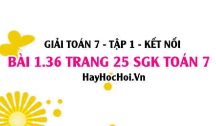 Giải bài 1.36 trang 25 Toán 7 Tập 1 SGK Kết nối tri thức